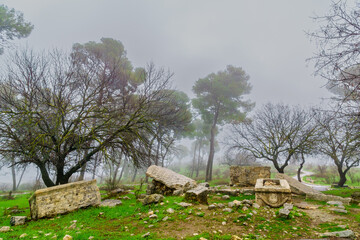 Wall Mural - Ancient coffins (Ossuary),. Tel Kedesh National Park, Upper Galilee