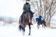 Young woman riding horse in winter park on the snow.