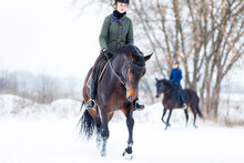 Young Woman Riding Horse In Winter Park On The Snow.