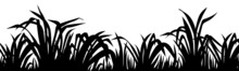 Silhouette Grass, Weed, Marsh Reeds, Cattail, Bulrush. Isolated Black Border Of Swamp And Plants.