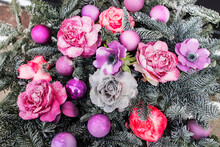 Christmas Flower Arrangement Of Dry Fir Branches, Artificial Anemones And Roses In Raspberry And Purple Tones, Covered With Snow