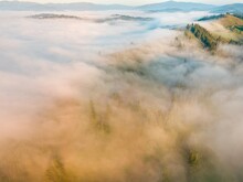 A Thin Morning Fog Covers The Ukrainian Mountains. Green Grass On The Slopes Of The Mountains. A Curly Thin Fog Spreads Over The Mountains. Aerial Drone View.