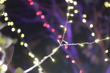 Wall Mural - Blur bokeh light bokeh abstract light background Blurred background. with color and bright on a New year Event.