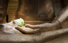 Thailand, Bangkok, Wat Phra Temple, Lotus Flower On Buddha Statue