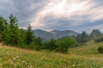 Wall Mural - Gela village after the rain.