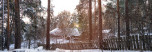 A Rustic House In A Winter Forest. The Sun's Rays Break Through The Trunks Of The Pines, Coloring The Trees In A Golden Hue.