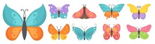 Set Colorful Flying Insects, Summer Butterfly Flat