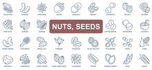 Nuts And Seeds Concept Simple Line Icons Set. Pack Outline Pictograms Of Cacao Pod, Cashew, Walnut, Acorn, Hazelnut, Peanut, Coffee Beans And Other. Vector Symbols For Website And Mobile App Design