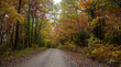 A Fall 2021 Drive Through Georgia Forest