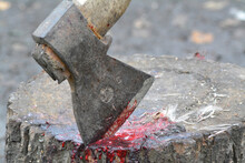 Bloody Ax After Killing