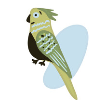 Cute Parrot With Blue Abstract Spot, Vector Doodle