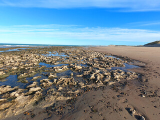 Sunny stone coast after low tide near the Argentine town of Las Grutas