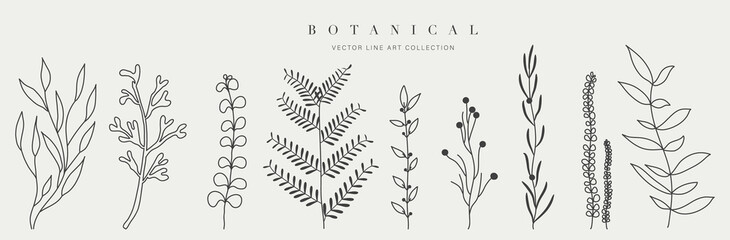 Botanical arts. Hand drawn continuous line drawing of abstract flower and floral. Vector illustration.
