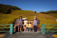 Happy Family Standing And Taking Pictures With The Landscape​ Yellow Flowers On The Hill, Thung Bua Tong Or Wild Sunflowers On Doi Mae U Kho, Mae Hong Son Province, Thailand.