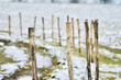 Helle, freundliche, positive Winter Landschaft im schönen Details mit Zaun Pfählen und einem durch Schnee bedeckten Weg und Wiesen