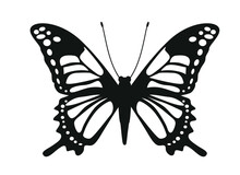 Black Vector Butterfly Icon.