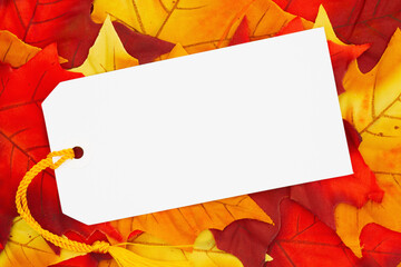 Wall Mural - Blank white gift tag on red and orange fall leaves