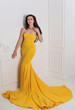 Middle age Lady in fancy modern fashionable dress, evening dress concept, inspire for women