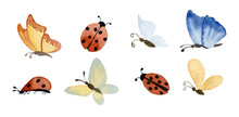 Watercolor Ladybirds And Butterflies. Hand Drawn Illustration Of Spring Insects. Ladybugs And Beetles On White Isolated Background. Set Of Elements For Icon Or Logo