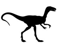 Dinosaur Silhouette. Compsognathus. Dino. Isolated Illustration Of A Dinosaur.