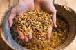 © ADDICTIVE STOCK - Person showing colorful macaroni in hands