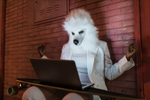 Woman Wearing Dog Mask Looking At Laptop In Front Of Wall