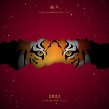Chinese New Year 2022 Festive Banner. Tiger Looks Out Of Hole In Red Paper. Hieroglyphics Mean Wishes Of A Happy New Year.