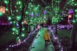 © christopher - Families walking in a park on a rainy christmas night surrounded by beautiful colourful christmas lights, in Vancouver, Canada.