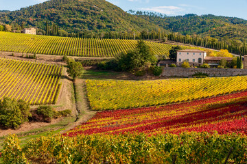 Sticker - autumn colors in Chianti in the Province of Siena