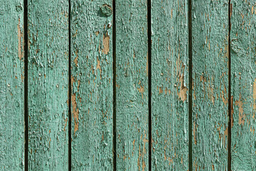 A horizontal texture of old green boards painted with white color with knots and resin