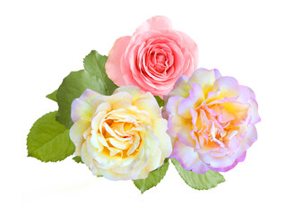 Beautiful yellow and pink roses bunch  isolated on white background