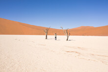 Aerial View Of A Person Standing Between Two Dead Trees At Deadvlei Site, Namibia Desert.