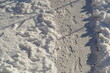 Ludzkie i kocie ślady na zaśnieżonym chodniku 