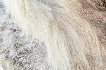 brown fur background close-up beautiful abstract fur texture