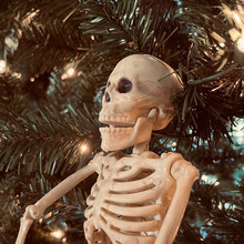 Christmas Tree Skeleton