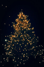 Lit Christmas Tree At Night