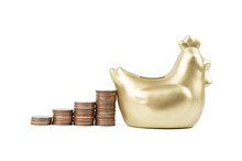 Golden Chicken Bank And Coins Are Lined Up Shown In The Form Of A Graph Isolated On White Background ,saving Money Concept