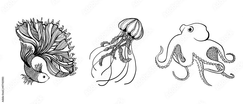 Line marine animals in black set. Underwater animals isolated on white background. Aquatic illustration for design, print or background.