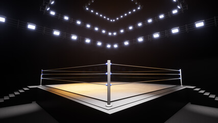 Sports wrestling and boxing. Sport 4K professional background, 3d illustration