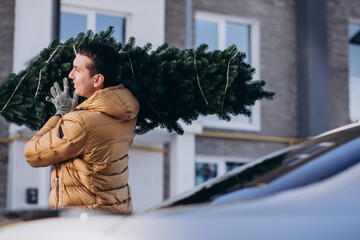 Father carrying christmas tree home