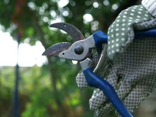 Hands using pruning shears gardening tools medium shot