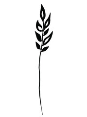 Wall Mural - Black herb. Vector clipart. Hand drawn