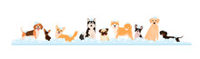 A Set Of Dogs In Foam. Grooming. Cartoon Design.

