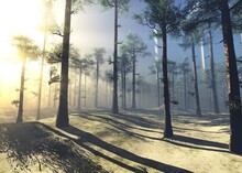 Winter Forest In The Rays Of The Sun, Morning In The Forest, 3d Rendering