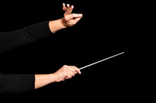 Orchestra Woman Conductor Music Conducting. Hands Of Conductor With Baton On Black Background