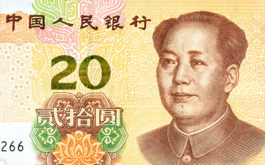 Wall Mural - Portrait of Mao Zedong on Chinese 20 yuan banknote