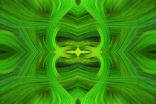 Digital Art, Vibrant Green Computer Generated 3d Illustration