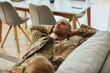 © Drazen - Pensive African American soldier relaxes on sofa in the living room.