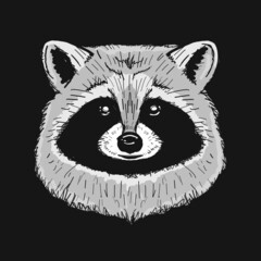 Poster - Funny Racoon Face Isolated on black.
