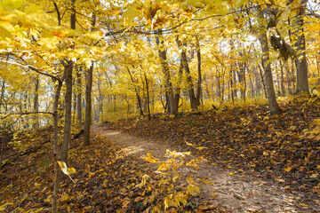 Poster - Hiking trail.